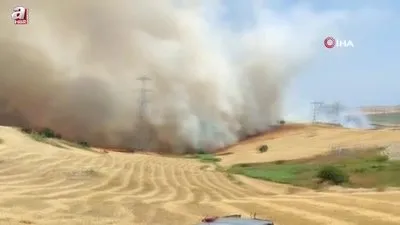 Çanakkale’de tarım arazisinde yangın