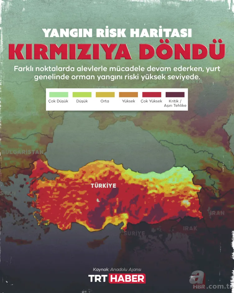 Türkiye yangın risk haritası 2025 | Hangi şehirlerde yangın tehlikesi altında? afetharitasi.org 3