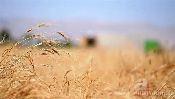 TMO'dan "hububat" açıklaması 4