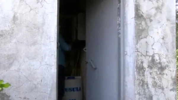 1621073500448.jpg Bolu'da köylüleri etkiledi! Çok sayıda kişi hastaneye koştu - 1
