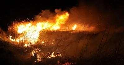 Mersin'deki Göksu Deltası'nda yangın