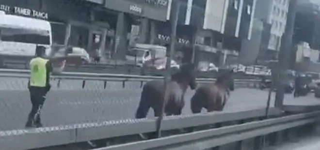 Avcılar’dan Bakırköy’e kadar koştular! İstanbul’da ilginç görüntü: Trafiği birbirine kattılar