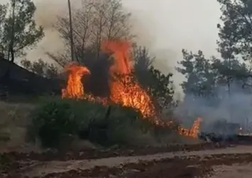 Yılın ilk 7 ayında 4 bin 426 yangın çıktı
