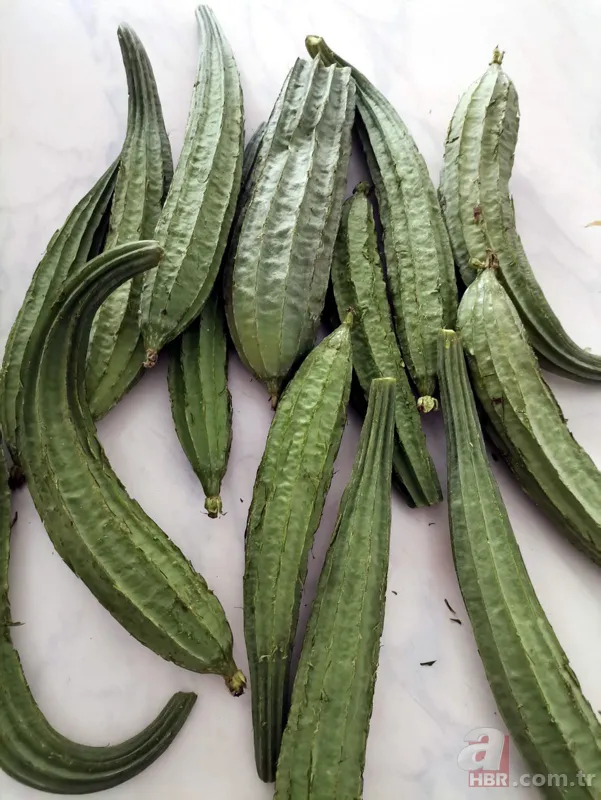 Yetiştirmek için serasına kamera koydu! Fiyatı el yakıyor: Gözümüz gibi bakıyoruz 17