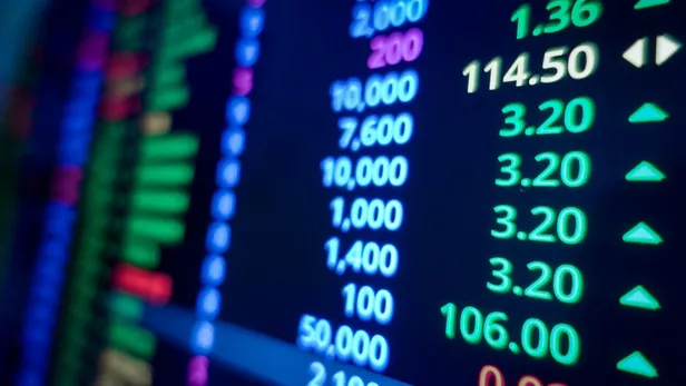 reeder-teknoloji-halka-arzi-talep-toplama-ne-zaman-basliyor-lot-kac-tlden-satisa-sunulacak-bireysel-olarak-kac-1694457699737.jpg Reeder Teknoloji halka arzı talep toplama başladı mı? Lot kaç TL’den satışa sunulacak? Bireysel olarak kaç lot dağıtılacak? - 2