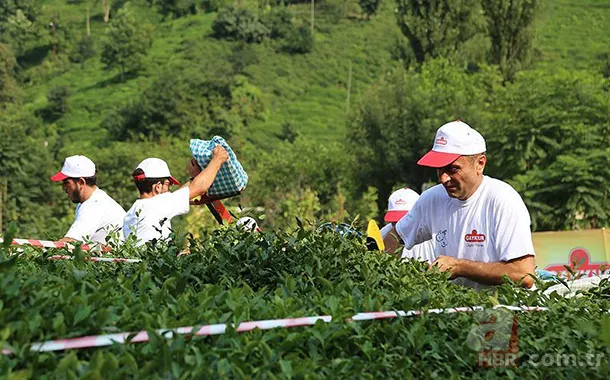 Mevsimlik işçiler kıdem tazminatı alabilir mi? Kıdem tazminatı nasıl hesaplanır? 10