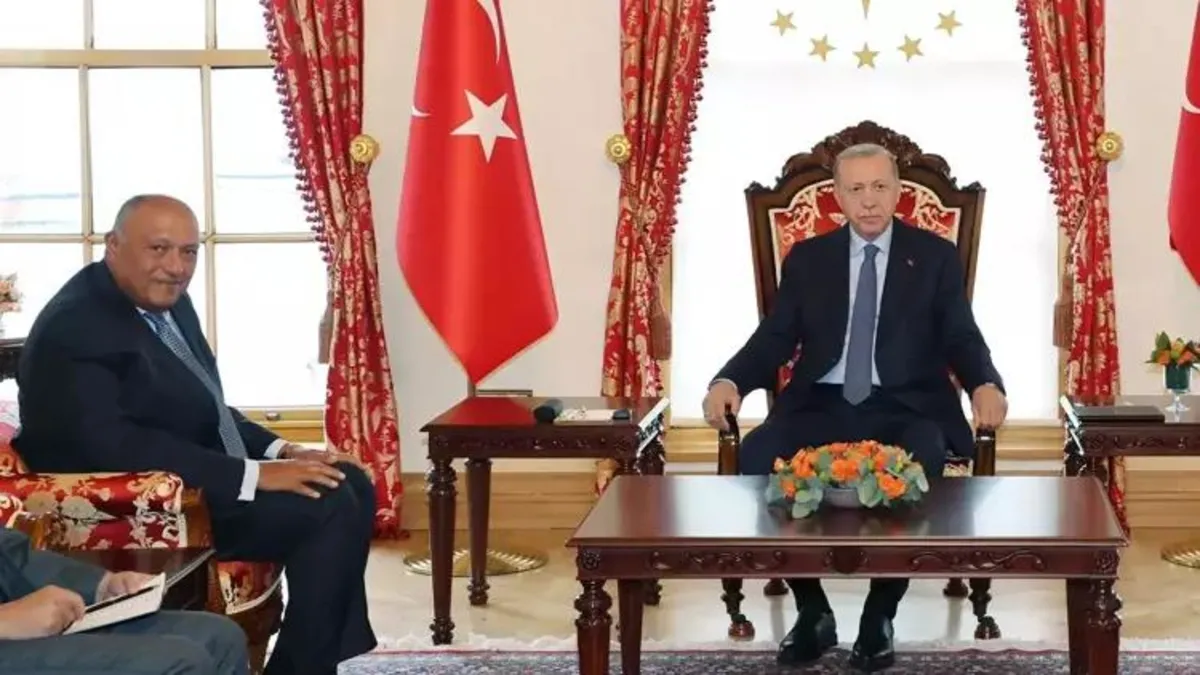 Başkan Erdoğan Mısır Dışişleri Bakanı Şükri'yi kabul etti