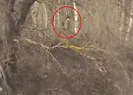 Türkün gölgesi yeter! Yunan polisi...