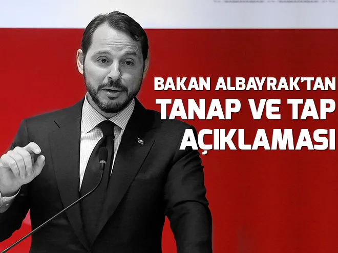 Enerji ve Tabii Kaynaklar Bakanı Berat Albayrak, İlham Aliyev'le görüştü - 2