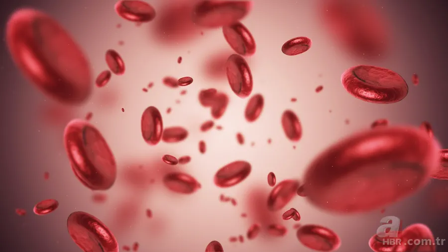 Kaçış sendromu hastalığı ne demek? Mehmet Ali Erbil hastalığı nedir? 3