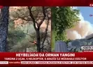 Son dakika: İstanbul Heybeliadadaki yangının sebebi ne? A Haber canlı yayınında açıkladı