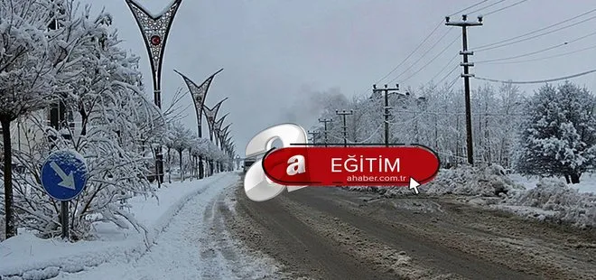 Erzurum’da yarın okullar tatil mi? 14 Ocak Cuma Erzurum’da okullar tatil olacak mı? Erzurum Valisi Okay Memiş açıklamaları...