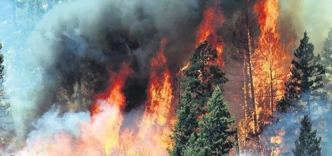 Fethiye’deki orman yangınında sabotaj şüphesi: Belediye Başkanı Alim Karaca’dan flaş sözler