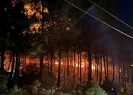 Fethiye’de orman yangını