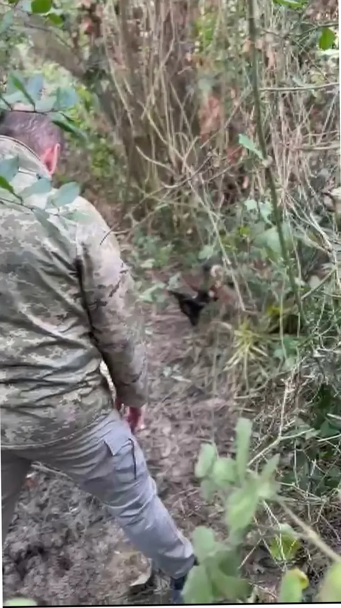 miras-icin-anneannesini-katletti-cani-torun-cinayeti-itiraf-etti-uyusturucunun-etkisindeydim-1769699957630.jpg Fotoğraf (DHA)