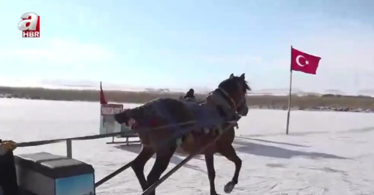 Çıldır Gölü'nün bir bölümü dondu