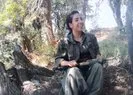 Diyarbakır Barosuna kayıtlı avukat PKK militanı çıktı