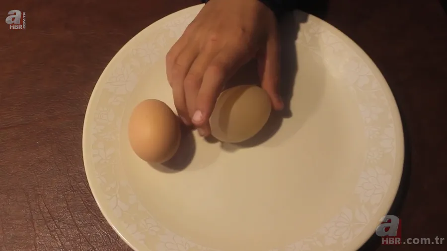 Tavuk kümesine girince gözlerine inanamadı 🥚 Günlük yumurtalarının üstünde adı ve soyadının baş harflerini gördü 🐔 23