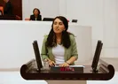 HDP’li Günay’dan Türk askerine ve polisine alçak sözler!