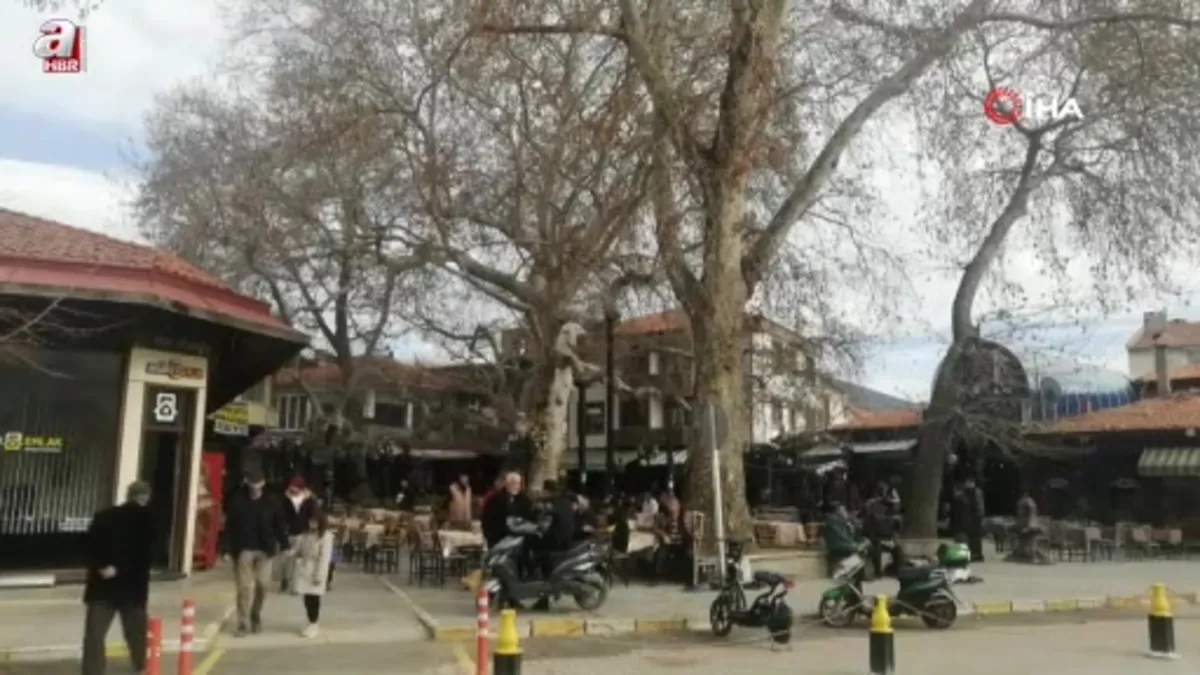 Yalvaç'ın 825 yıllık çınar ağacı tarihe köklü bir tanıklık yapıyor