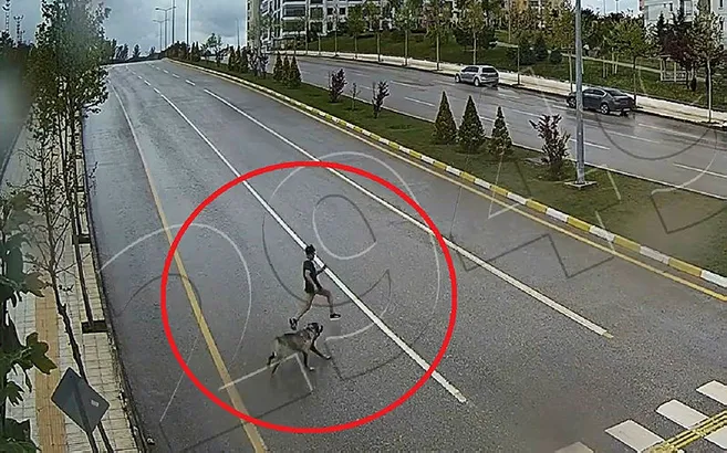 Çorum’da sokak köpeği çocuğa saldırdı! O anlara ilişkin görüntüler ortaya çıktı