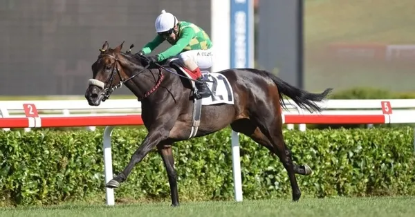 97. GAZİ KOŞUSU CANLI İZLE! Gazi Koşusu saat kaçta, hangi kanalda yayınlanacak? Birincilik ödülü...