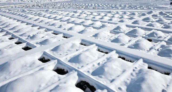 Erzurum’da kara kış bastırmadan bin mezar kazıldı!