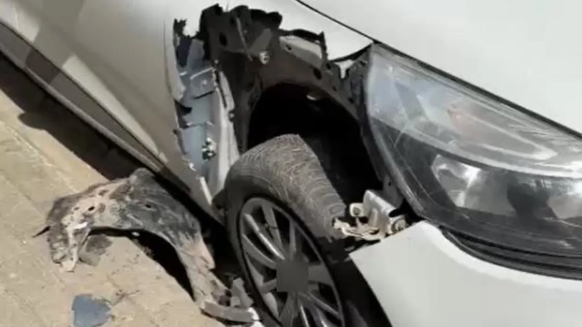 Sokak köpekleri bu kez de araçlara saldırdı! Paramparça ettiler