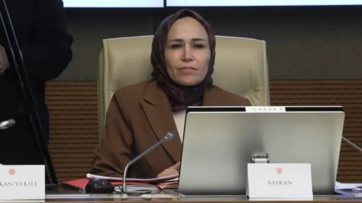 Kadına Şiddet Komisyonu'nda İstanbul Sözleşmesi tartışması: Sözleşme LGBT'nin truva atı
