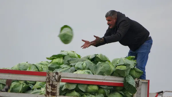 osmaniyede-beyaz-lahana-ureticisi-mutlu-hem-fiyatlar-hem-de-talep-cok-iyi-1643792275944.jpg Osmaniye’de beyaz lahana üreticisi mutlu! Hem fiyatlar hem de talep çok iyi - 1