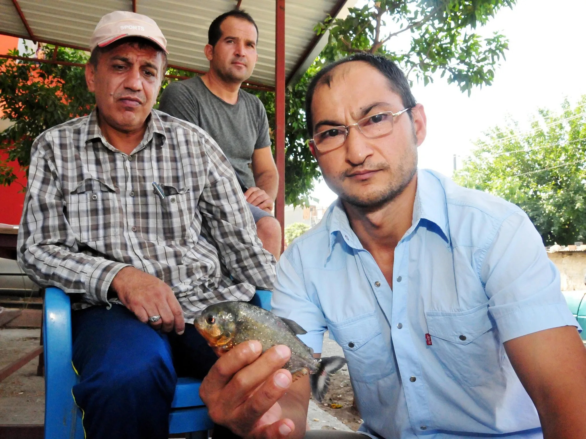 Adana'da amatör balıkçıyı pirana ısırdı - 2