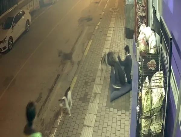 Sokak köpekleri bir anda saldırdı! Antalya'daki dehşet anları güvenlik kamerasına yansıdı - 2