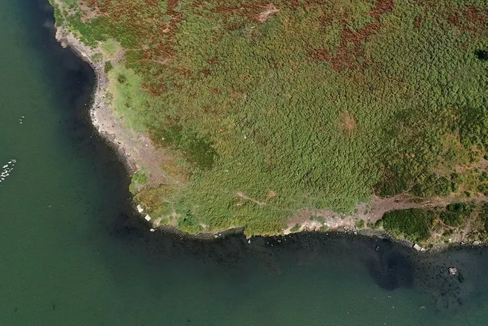 Son dakika: İBB’nin ihmali müsilaj felaketine davetiye çıkardı: Haliç de gidici!