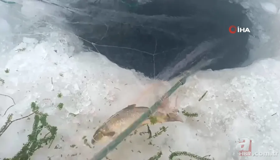 Görüntüler Türkiye’den! Kazma küreği aldılar balıkları kaptılar | İşte Eskimo usulü balık avı 11