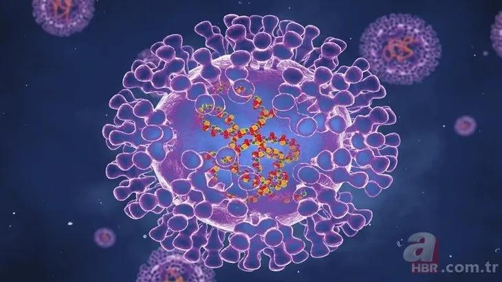 Bilim insanlarından Maymun Çiçeği için 21 gün uyarısı! 17 ülke Maymun Çiçeği virüsü ile savaşıyor