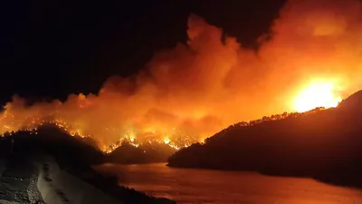 Adana’da orman yangını