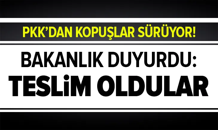 5 terörist teslim oldu