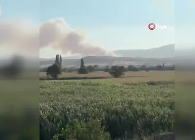 Susurluk’ta orman yangını başladı