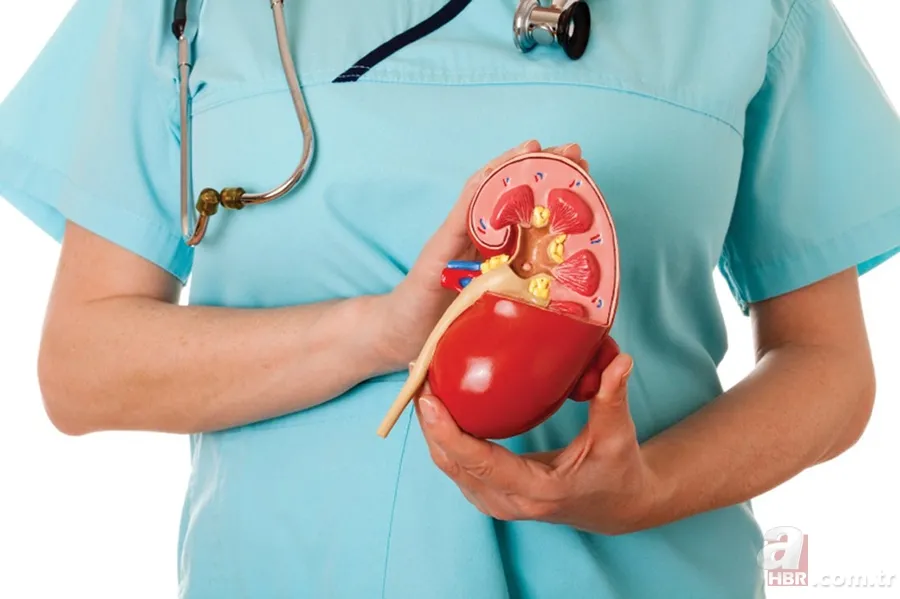 Böbrek dokusunu bozuyor 13