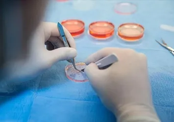 İngiltere varyantıyla ilgili son çalışmanın sonuçları belli oldu