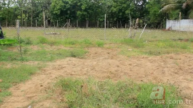 Öyle bir şey yaptı ki! Herkes hayran kaldı... 1