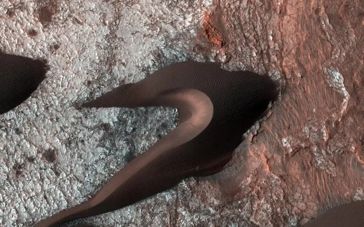 NASA uzaydan paylaştığı İguana görüntüsüyle dünyayı şoke etti
