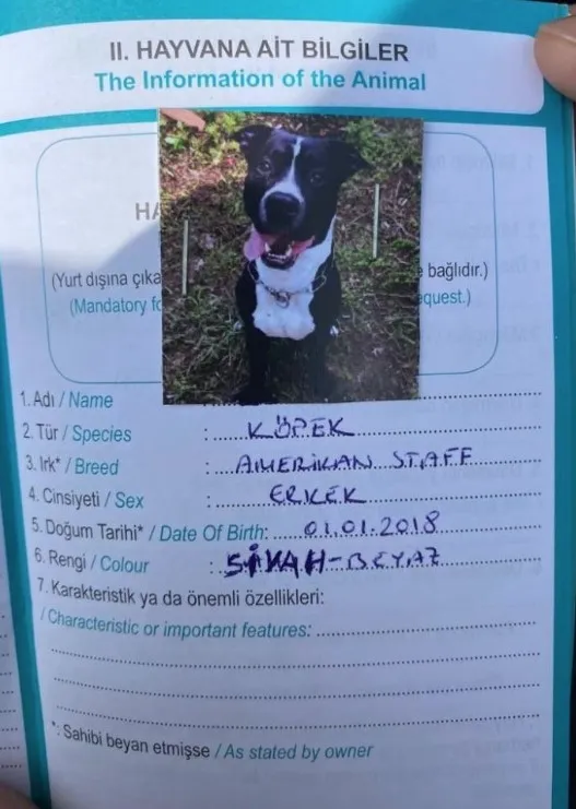 kartalda-keciyi-telef-eden-pitbull-kopegi-yakalandi-sahibine-cezai-islem-yapildi-1651755481492.jpg Kartal’da keçiyi telef eden pitbull köpeği yakalandı! Sahibine cezai işlem yapıldı - 2