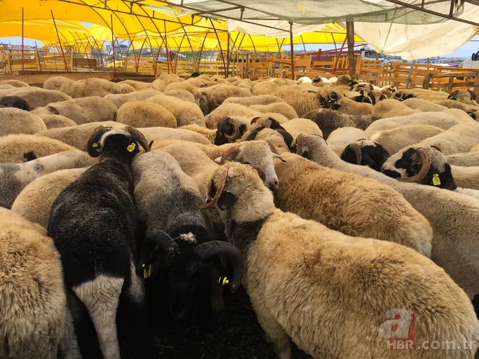 Arefe günü oruç tutmak: Kurban Bayramı arefesi oruç tutulur mu? Arefe günü cumaya denk gelirse oruç tutulur mu? 11