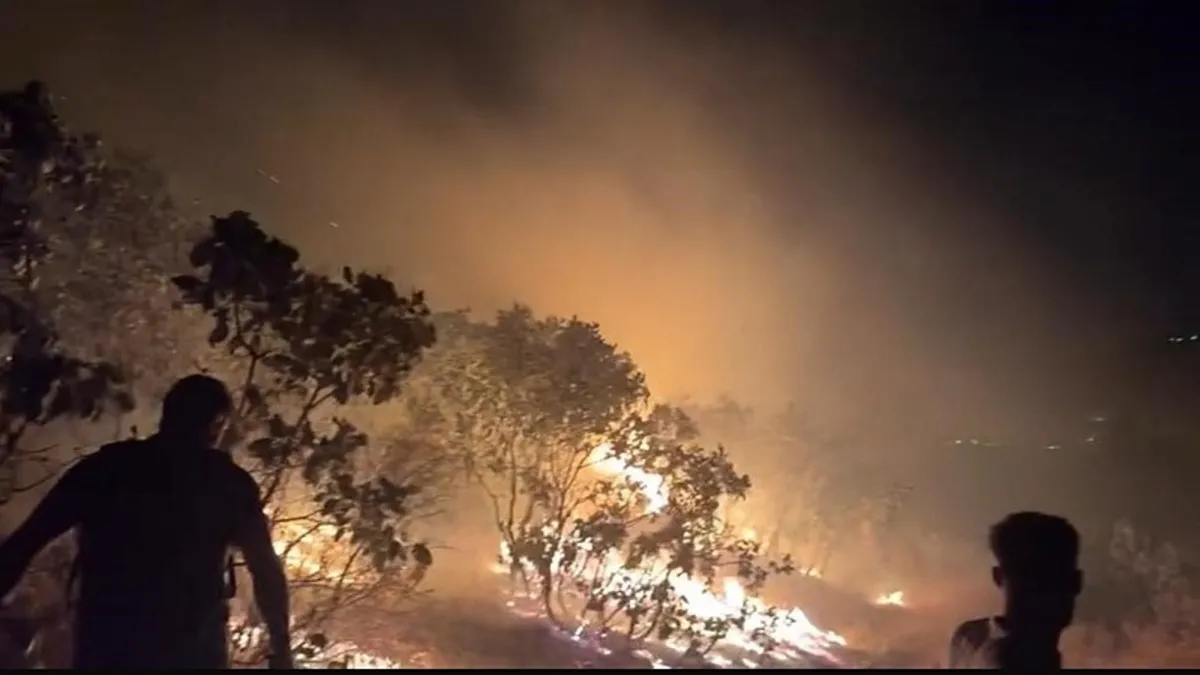 Diyarbakır'daki orman yangını kontrol altında