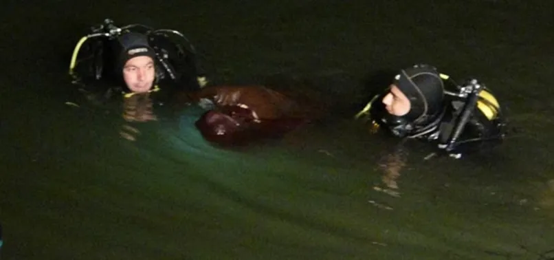 Mersin'de genç hemşirenin feci ölümü