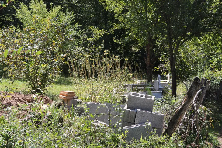 Yediği elmalar sonu oldu... İneğinin ölümüne kalbi dayanmadı