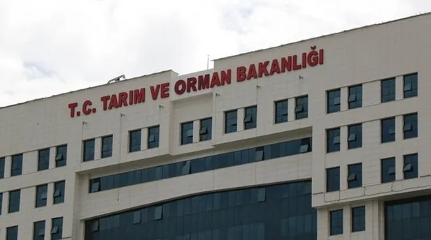Bakanlıktan 7.158 personel alımı müjdesi! Lise mezunu adaylar başvurabilecek! İşte açıklanan kadrolar ve kontenjanlar… - 1
