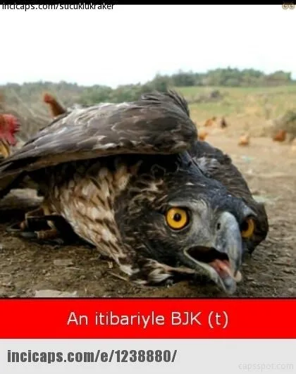 Fenerbahçe-Beşiktaş derbisinin capsleri