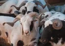 15-16 Ağustos idari izin oldu mu?